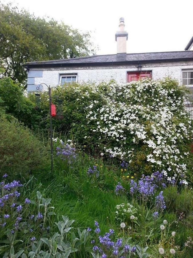 Gormanstown House Apt, The Island Tullamore Esterno foto