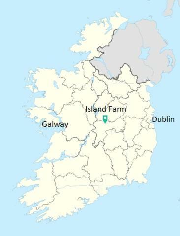 Gormanstown House Apt, The Island Tullamore Esterno foto